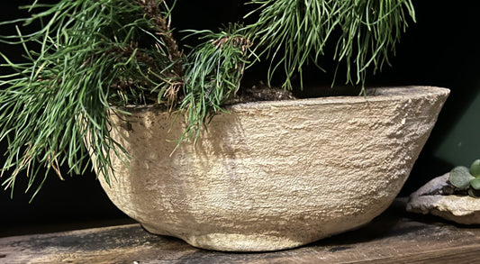 Bonsai Pot