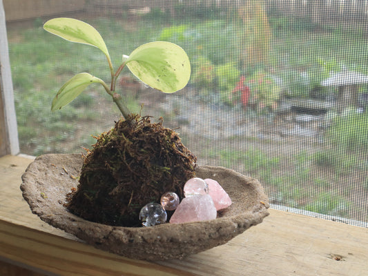 Fairy Rocks & Spheres